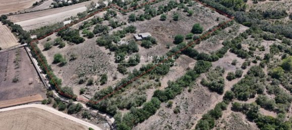 552m² Land in Manacor, Spain No. 174309 10