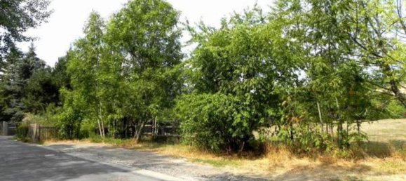 Land in Mansfeld-Sudharz, Germany No. 243827 8