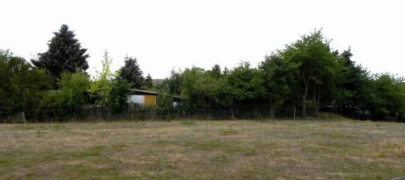Land in Mansfeld-Sudharz, Germany No. 243827 20