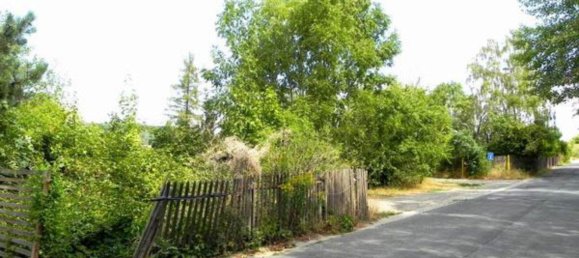 Land in Mansfeld-Sudharz, Germany No. 243827 7