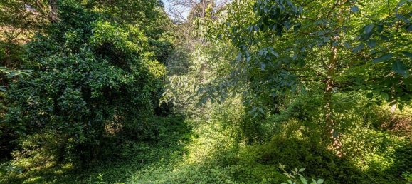 3 chambres Maison à Mondim de Basto, Portugal No. 187531 26