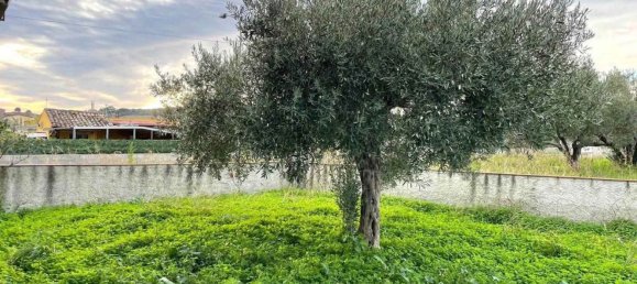 6 rooms Apartment in Borgia, Italy No. 211201 22