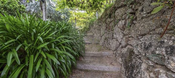 5 Schlafzimmer Haus in Ruilhe, Portugal, Nr. 43183 24