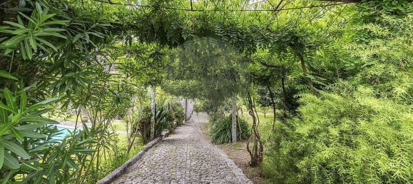 5 Schlafzimmer Haus in Ruilhe, Portugal, Nr. 43183 27
