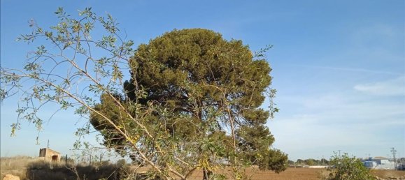 Land in Cartagena, Spain No. 170795 12