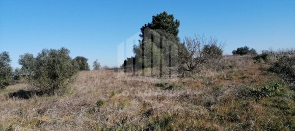 15000m² Land in Palmela, Portugal No. 95874 16