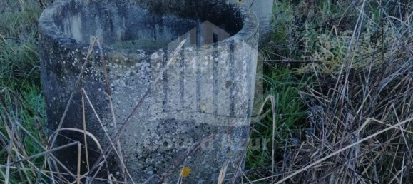 15000m² Land in Palmela, Portugal No. 95874 12