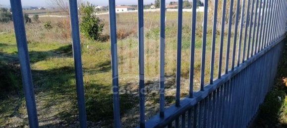 15000m² Land in Palmela, Portugal No. 95874 2