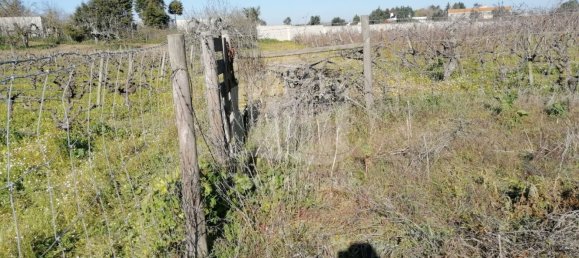 15000m² Land in Palmela, Portugal No. 95874 13