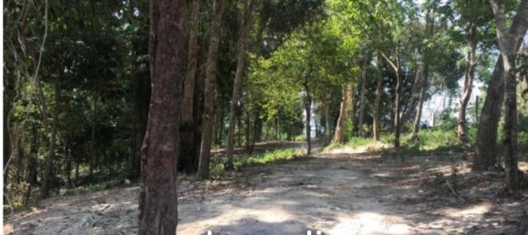 Земельный участок в Кату, Таиланд № 26462 5