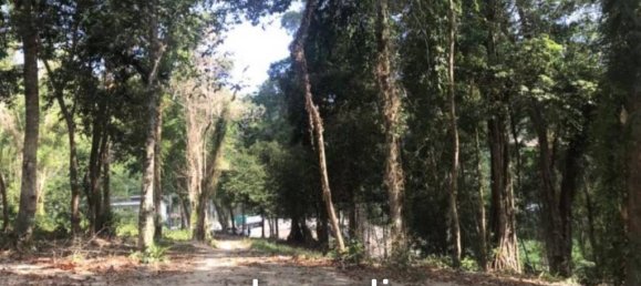 Земельный участок в Кату, Таиланд № 26462 8