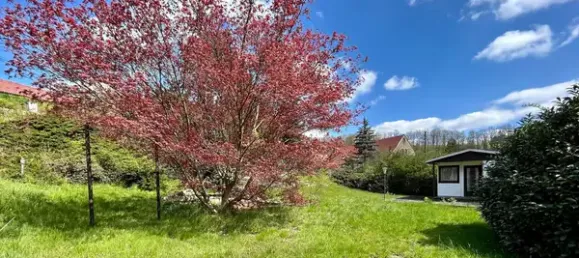 Terreno en Sachsische Schweiz-Osterzgebirge, Germany No. 136439 11