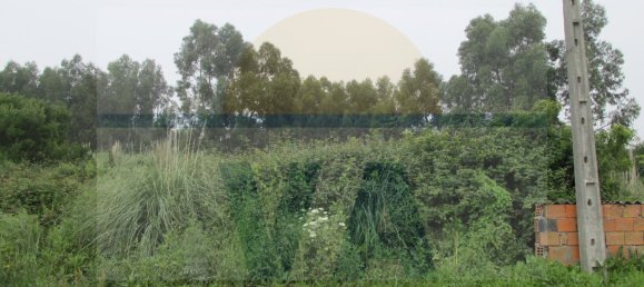 290m² Land in Vila Nova de Gaia, Portugal No. 59470 17