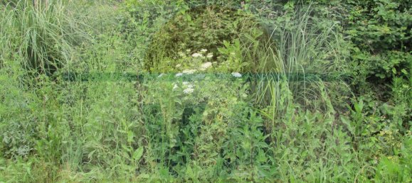 290m² Land in Vila Nova de Gaia, Portugal No. 59470 12