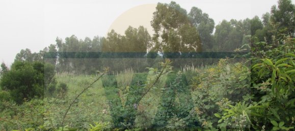 290m² Land in Vila Nova de Gaia, Portugal No. 59470 14