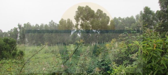 290m² Land in Vila Nova de Gaia, Portugal No. 59470 13