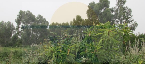 290m² Land in Vila Nova de Gaia, Portugal No. 59470 15