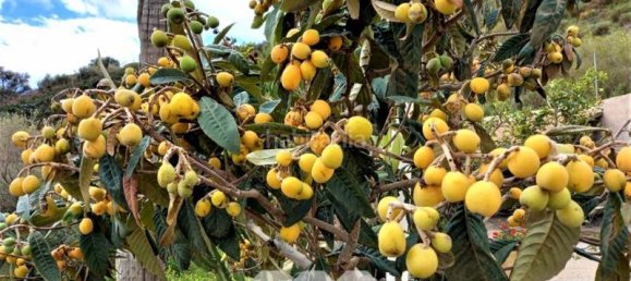 2 Schlafzimmer Haus in Almayate Bajo, Spain, Nr. 38719 20