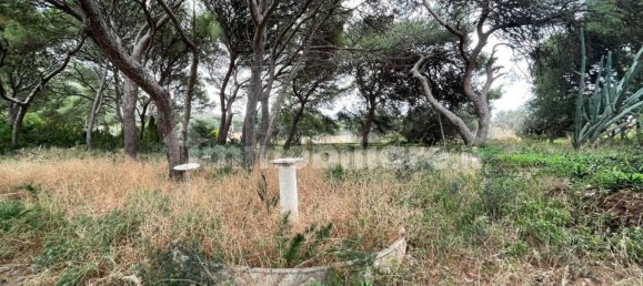 8 Schlafzimmer Villa in Erice, Italy, Nr. 218676 12