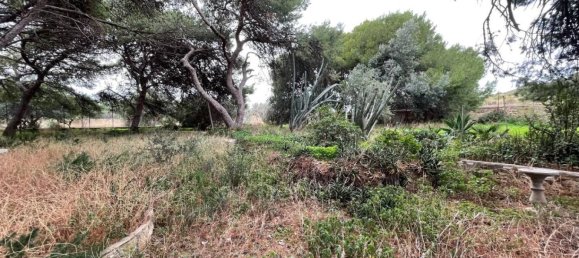 8 Schlafzimmer Villa in Erice, Italy, Nr. 218676 6