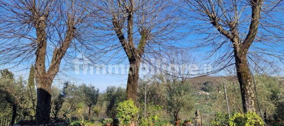 4 bedrooms Villa in Quarrata, Italy No. 211467 37