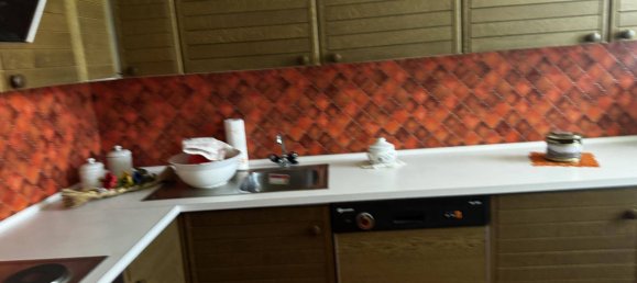 3 chambres Maison à Hochwolkersdorf, Austria No. 250762 8