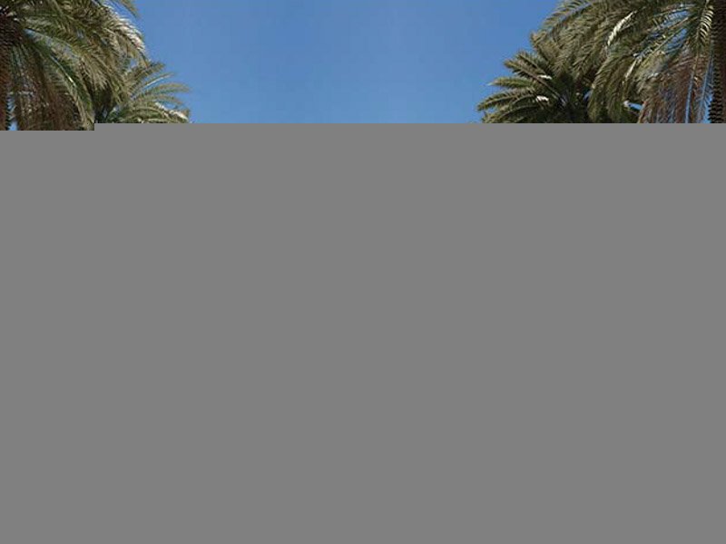 3 Schlafzimmer Doppelhaus in Dubai Marina, UAE, Nr. 4333