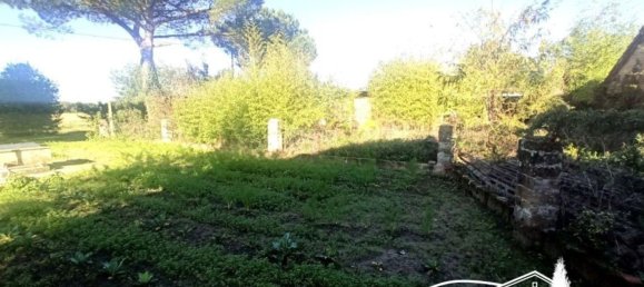 3950m² Land in Castiglione del Lago, Italy No. 81906 6