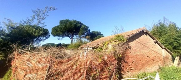 3950m² Land in Castiglione del Lago, Italy No. 81906 4