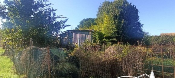 3950m² Land in Castiglione del Lago, Italy No. 81906 2