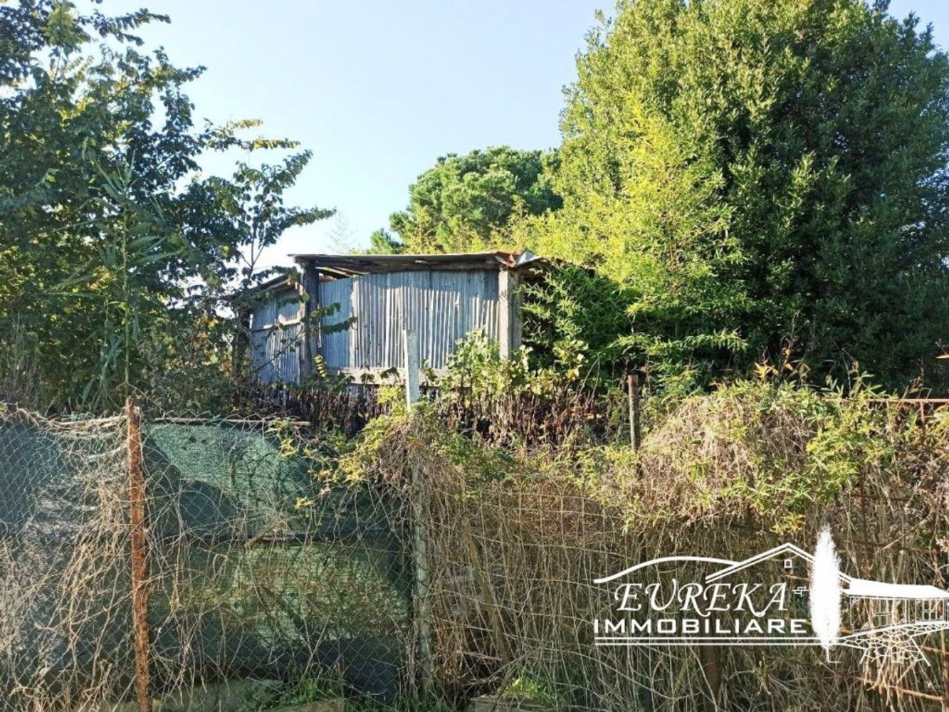 3950m² Land in Castiglione del Lago, Italy No. 81906