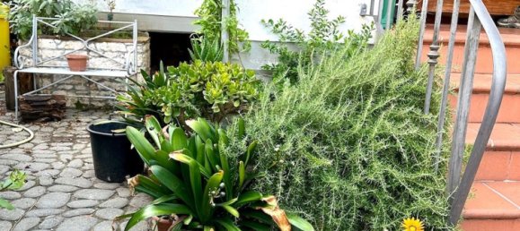 5 rooms Apartment in Massa, Italy No. 275383 3