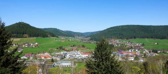 1 Schlafzimmer Wohnung in Baden-Württemberg, Germany, Nr. 68119 3