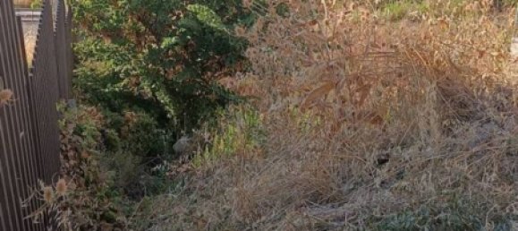 Земельный участок 1122м² в Сан Джузеппе Ято, Италия № 179226 8