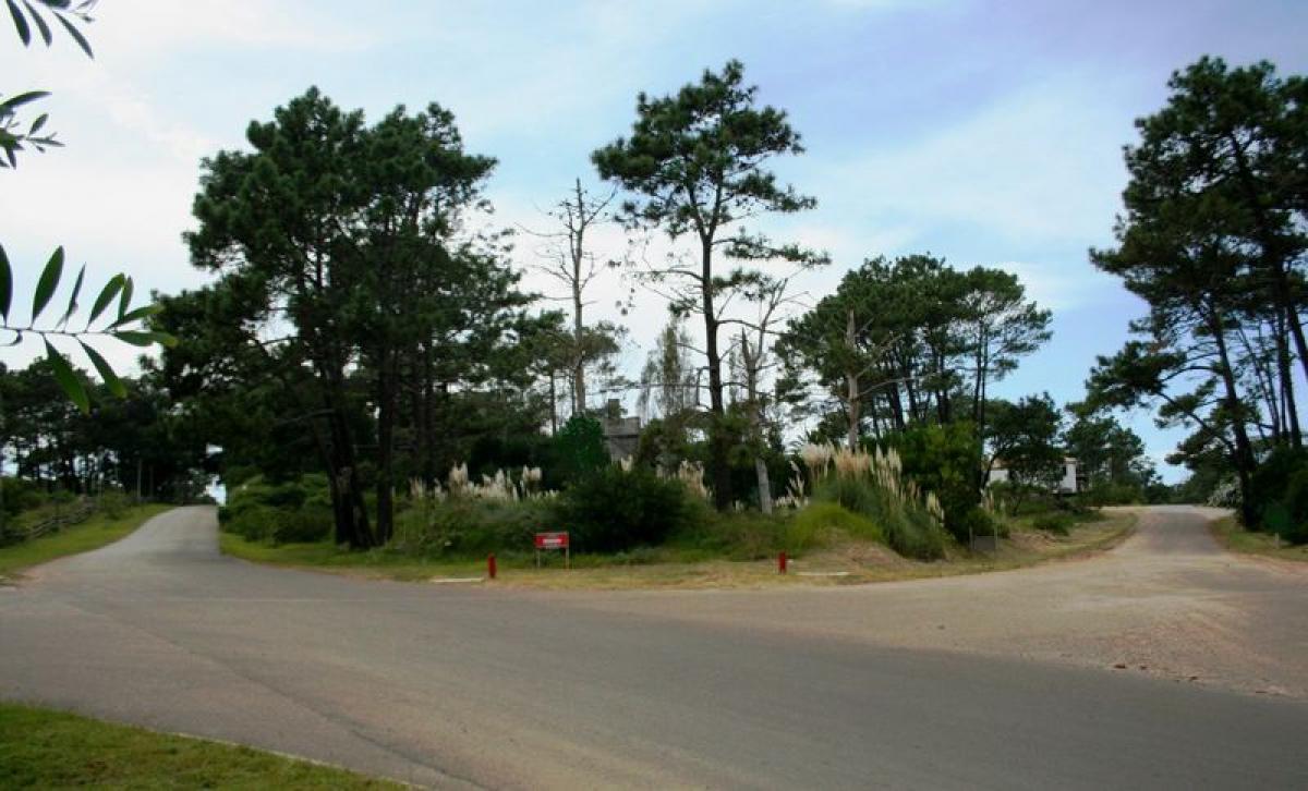  Land in Maldonado, Uruguay No. 15593
