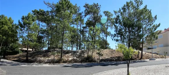  قطعة أرض في Grandola, Portugal رقم 131865 16