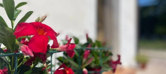 Casa de 2 dormitorios en Castelliri, Italy No. 56886 26