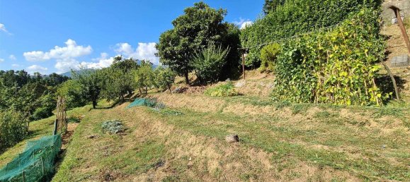 13 rooms House in Camaiore, Italy No. 212414 10