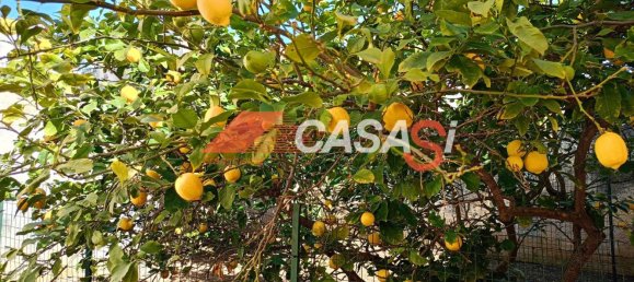 2 rooms House in Melpignano, Italy No. 43374 13