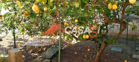 2 rooms House in Melpignano, Italy No. 43374 12