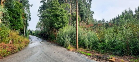 Grundstück in Vila Nova de Gaia, Portugal 13616m², Nr. 59076 6