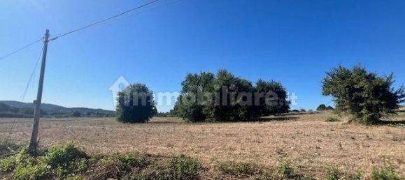 30000m² Land in Campagnano di Roma, Italy No. 278068 12