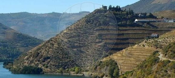 63m² Land in Penajoia, Portugal No. 50260 3