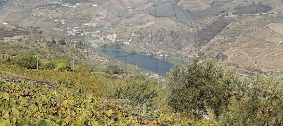 63m² Land in Penajoia, Portugal No. 50260 4