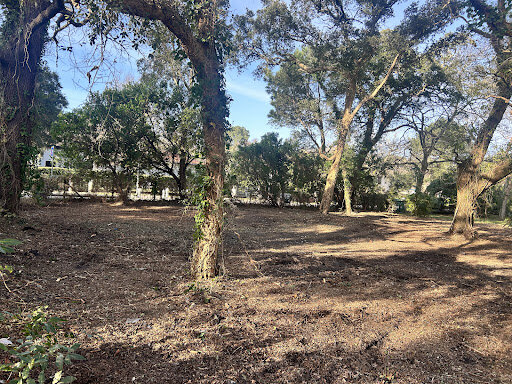 4 bedrooms Castles in Soorts-Hossegor, France No. 221156