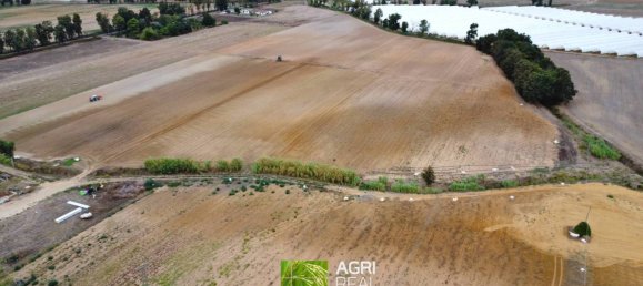 Terrain à Sabaudia, Italy 11380m² No. 317541 6