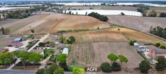 Terrain à Sabaudia, Italy 11380m² No. 317541 7