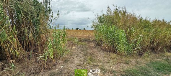 Terrain à Sabaudia, Italy 11380m² No. 317541 11