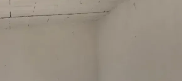 1 bedroom House in Naquera, Spain No. 91256 9