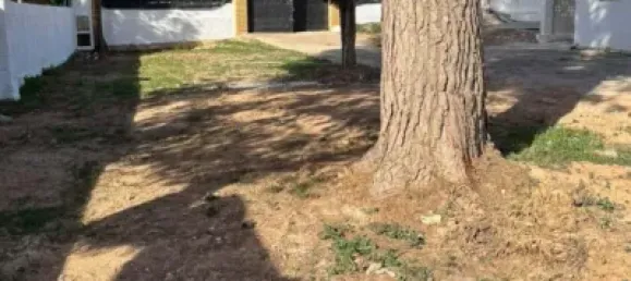 1 bedroom House in Naquera, Spain No. 91256 16